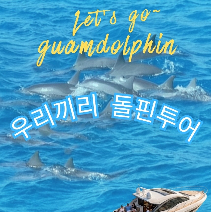 우리들만(프라이빗) 돌핀투어